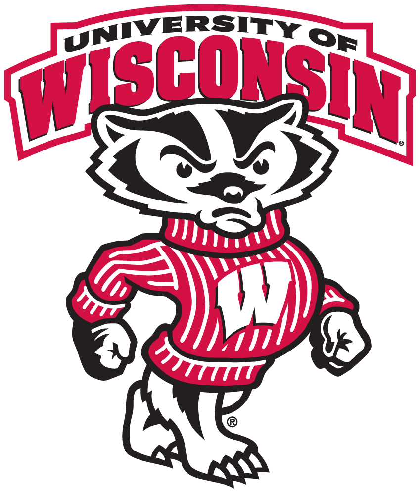Wisconsin Badgers 2003-2017 Secondary Logo t shirts iron on transfers